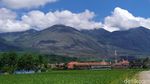 Foto: Gunung Guntur yang Mistis