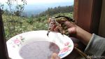 Sup Kacang Gude Spesial di Lereng Gunung Merbabu