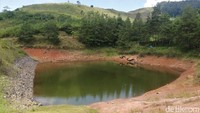 Selain memiliki pesona alam yang menawan, cekdam ini juga menawarkan keheningan dan juga kesejukan bagi pengunjungnya. Cekdam yang memiliki luas sekitar 90x70 meter ini sisi-sisinya dikeliling oleh pohon-pohon pinus.