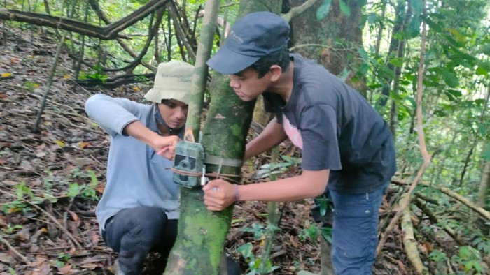 Pasang 106 Camera Trap, TN Meru Betiri Fokus Identifikasi Populasi Macan Tutul