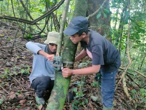 Begini Camera Trap Dipasang Pantau Macan Tutul Jawa di TN Meru Betiri