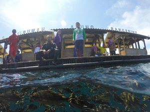 Destinasi Wisata Mulai Buka, Banyuwangi Luncurkan Angkutan Pariwisata Gratis