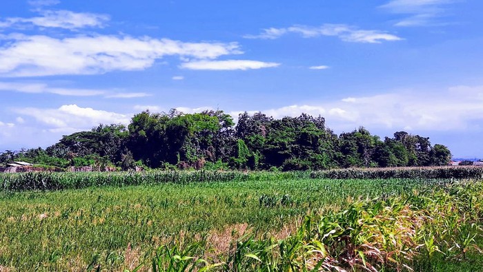 Secara Turun-Temurun Dusun di Situbondo ini Jumlah KK-nya Selalu 26