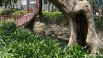 Asrinya Jembatan Gantung di Taman Sumenep