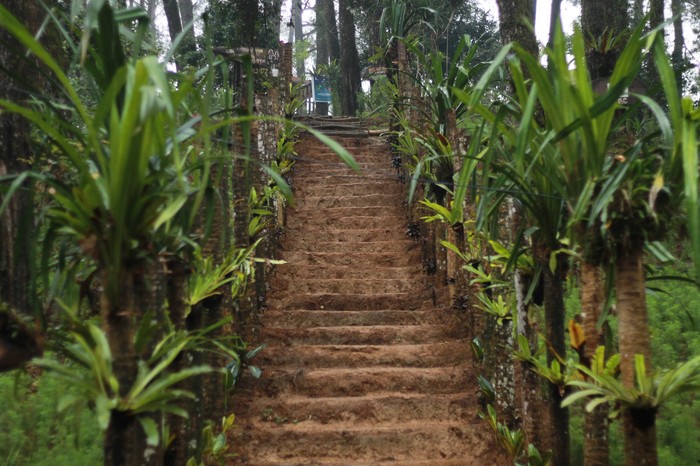 Bukit Cianten Bogor