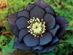 Foto-foto Keajaiban Alam yang Mungkin Belum Pernah Kamu Lihat