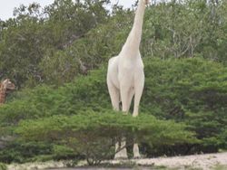 Foto-foto Keajaiban Alam yang Mungkin Belum Pernah Kamu Lihat