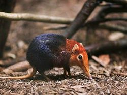 Foto-foto Keajaiban Alam yang Mungkin Belum Pernah Kamu Lihat