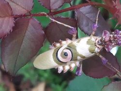 Foto-foto Keajaiban Alam yang Mungkin Belum Pernah Kamu Lihat