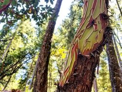 Foto-foto Keajaiban Alam yang Mungkin Belum Pernah Kamu Lihat