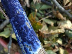 Foto-foto Keajaiban Alam yang Mungkin Belum Pernah Kamu Lihat