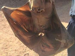 Foto-foto Keajaiban Alam yang Mungkin Belum Pernah Kamu Lihat