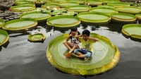 Foto keajaiban alam