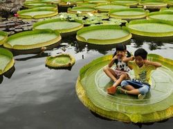 Foto-foto Keajaiban Alam yang Mungkin Belum Pernah Kamu Lihat