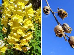 Foto-foto Keajaiban Alam yang Mungkin Belum Pernah Kamu Lihat