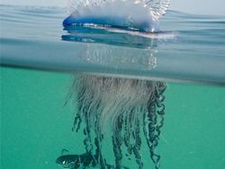 Foto-foto Keajaiban Alam yang Mungkin Belum Pernah Kamu Lihat