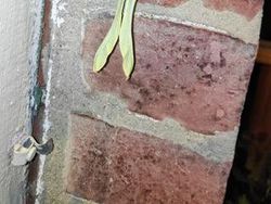 Foto-foto Keajaiban Alam yang Mungkin Belum Pernah Kamu Lihat