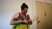 Bahkan ada seorang warga di Buenos Aires yang apartemennya menjadi rumah bagi 28 marsupial berukuran saku yang umumnya dikenal sebagai sugar glider.  
