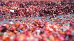 Industri Daur Ulang Sampah Menanti Insentif