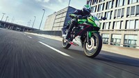 Kedua motor ini menggunakan tipe sasis teralis tubular yang mirip dengan moge Kawasaki lainnya. Foto: Dok. Kawasaki