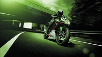 Kawasaki Ninja 125 hadir dengan pilihan warna Metallic spark black/metallic flat spark black, Pearl flat stardust white/metallic spark black, dan Lime green/ebony/pearl blizzard white. Foto: Dok. Kawasaki
