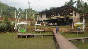 Potret Kedai Kopi Hits di Tengah Sawah Bogor