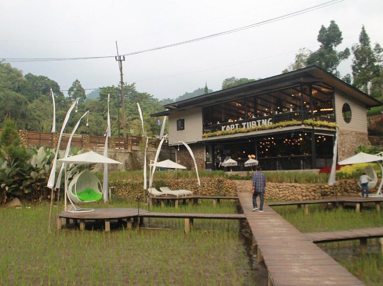 Potret Kedai Kopi Hits di Tengah Sawah Bogor