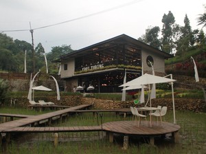 Coffee Shop Nuansa Pedesaan hingga Burung Paling Mematikan di Dunia