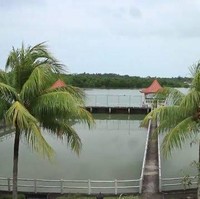 Kolam ikan yang menjadi area rekreasi bagi tamu hotel. Di sini, tamu bisa memancing ikan sepuasnya. (Foto: YouTube/Catatan si Andre)