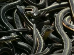 Potret Dasar Sumur Neraka yang Disebut Penjara Jin, Apa Isinya?