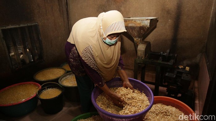 Usaha Tempe Jadi Penopang Hidup Hingga Bisa Kuliahkan 3 Anak Tempe menjadi sumber kehidupan bagi Subur, warga Kecamatan Gunung Sugih, Lampung Tengah beserta keluarga. Sudah berpuluh tahun, Subur menjalankan usaha produksi tempe.