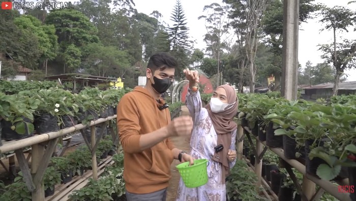 5 Momen Romantis Ria Ricis dan Teuku Ryan, Masak hingga Petik Strawberry Bareng 5 Momen Romantis Ria Ricis dan Teuku Ryan, Masak hingga Petik Strawberry Bareng