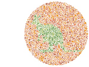 3 Jenis Buta Warna, Apakah Kamu Alami Salah Satunya?