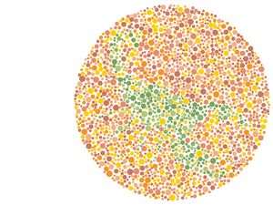 Cuma yang Matanya Sempurna Melihat Warna Bisa Menebak Hewan di Gambar Ini