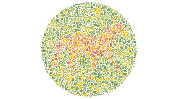 Cuma yang Matanya Sempurna Melihat Warna Bisa Menebak Hewan di Gambar Ini