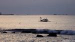 Berburu Matahari Terbenam di Pantai Sebalang Lampung