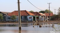 Apabila menggunakan perahu, traveler bisa menjangkau Tanjung Priok dari Muara Gembong hanya dengan waktu satu jam saja. Bahkan, kawasan di Kabupaten Bekasi ini juga berbagi nasib dengan Jakarta Utara soal ancaman tenggelam (Randy/detikTravel)