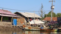 Mayoritas warga setempat berprofesi sebagai nelayan hingga pencari udang di empang atau tambak. Namun, profesi mereka kian teruji akibat ancaman abrasi dan rob (Randy/detikTravel)