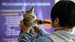 Hari Rabies Sedunia, Hewan Peliharaan di Jakarta Ramai-ramai Divaksin