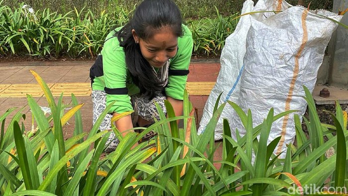 Murni (26) adalah petugas dari Dinas Kehutanan, yang selalu membersihkan tanaman hias yang berada di kolong Jembatan Taman Ria, Senayan, Jakarta. Ia pun tetap gigih bekerja meski tengah hamil 8 bulan.