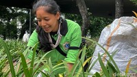 Umumnya saat hamil, wanita akan lebih cepat kelelahan. Terlebih jika sudah menjelang trimester ketiga atau usia kehamilan lebih dari 28 minggu, beberapa wanita akan merasa semakin tidak nyaman karena sudah mendekati tanggal jatuh tempo kelahiran.