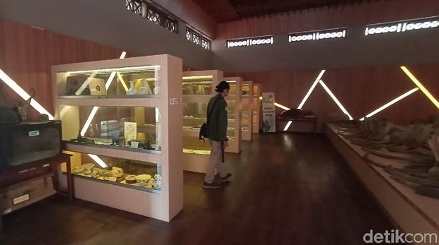 Kerangka ikan raksasa di Museum Kartini.
