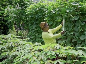 Narji Cagur Punya Lahan 1.000 Ha, Beli Sewaktu Muda