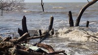 Selain itu, ombak yang kian dekat ke permukaan pantai juga menyulitkan nelayan. Alhasil, banyak yang jadi lebih jarang melaut karena ombak yang sering ganas (Randy/detikTravel)