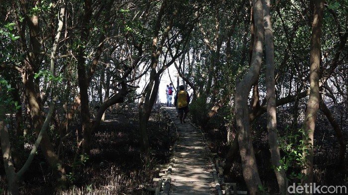 Pantai di Kabupaten Bekasi