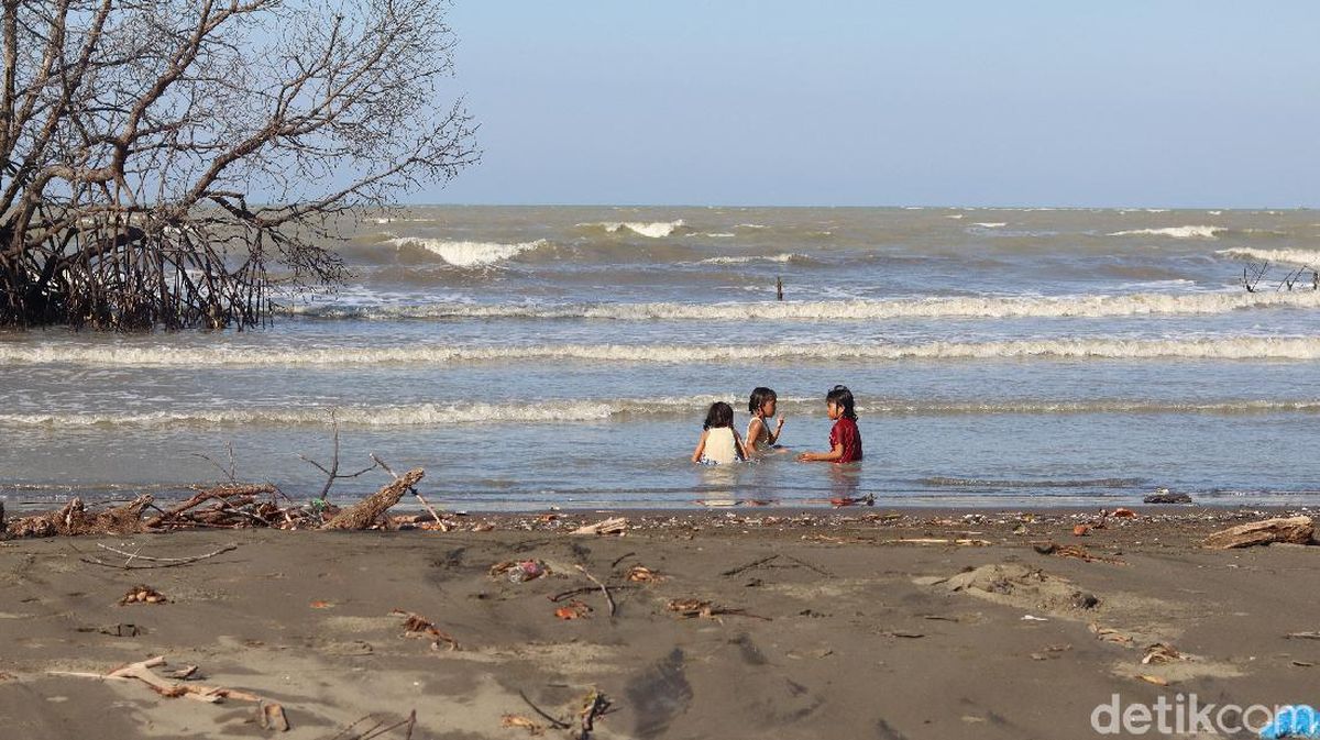 Rute pantai muara betting bekasi siap forex trading uk tax year