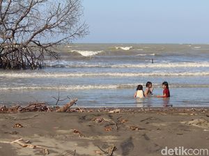 Pantai Muara Beting Bekasi yang Terancam Hilang