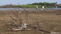 detikTravel menyambangi Pantai Muara Beting yang berada di ujung Muara Gembong beberapa waktu lalu. Berangkat dari kawasan Cikarang, dibutuhkan waktu dua jam lebih untuk mencapainya (Randy/detikTravel)