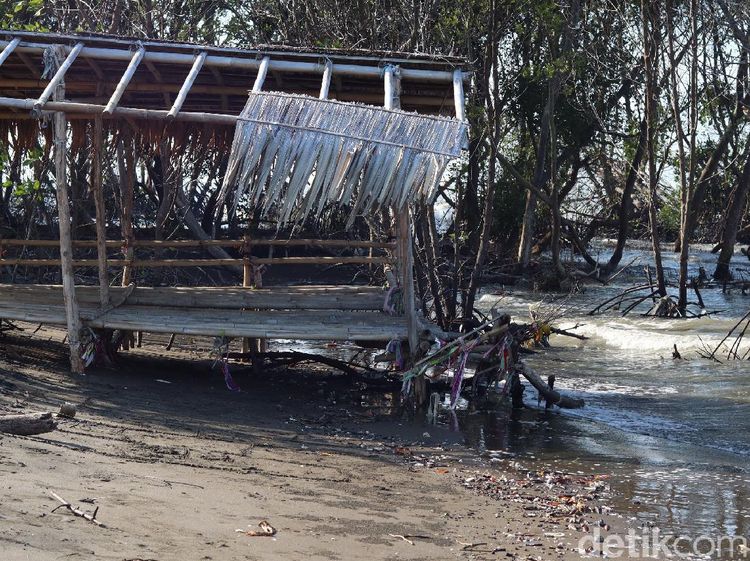 Potret Pantai Muara Beting Bekasi yang Terancam Abrasi