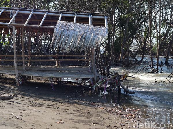 Potret Pantai Muara Beting Bekasi yang Terancam Abrasi